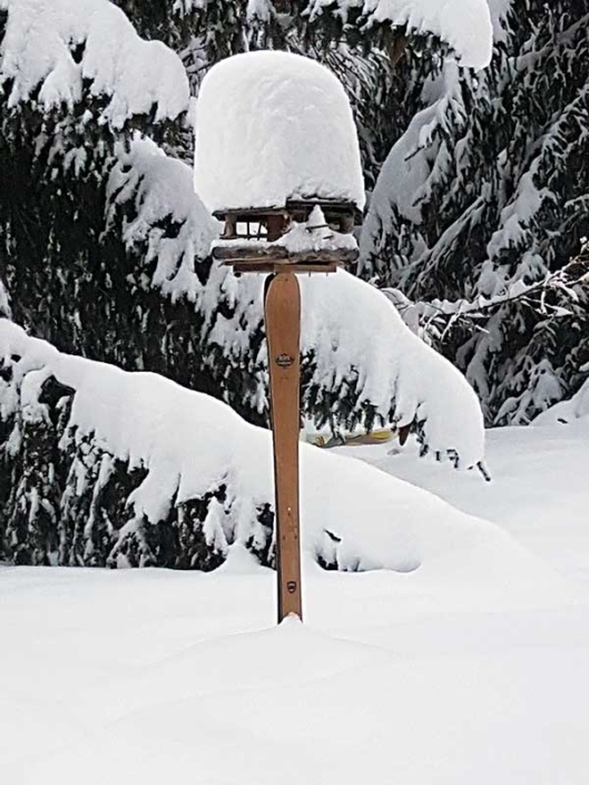Mangeoire pour les oiseaux montée sur une paire de skis